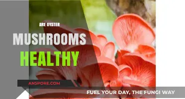 Oyster Mushrooms: Healthy Superfood or Just a Fad?