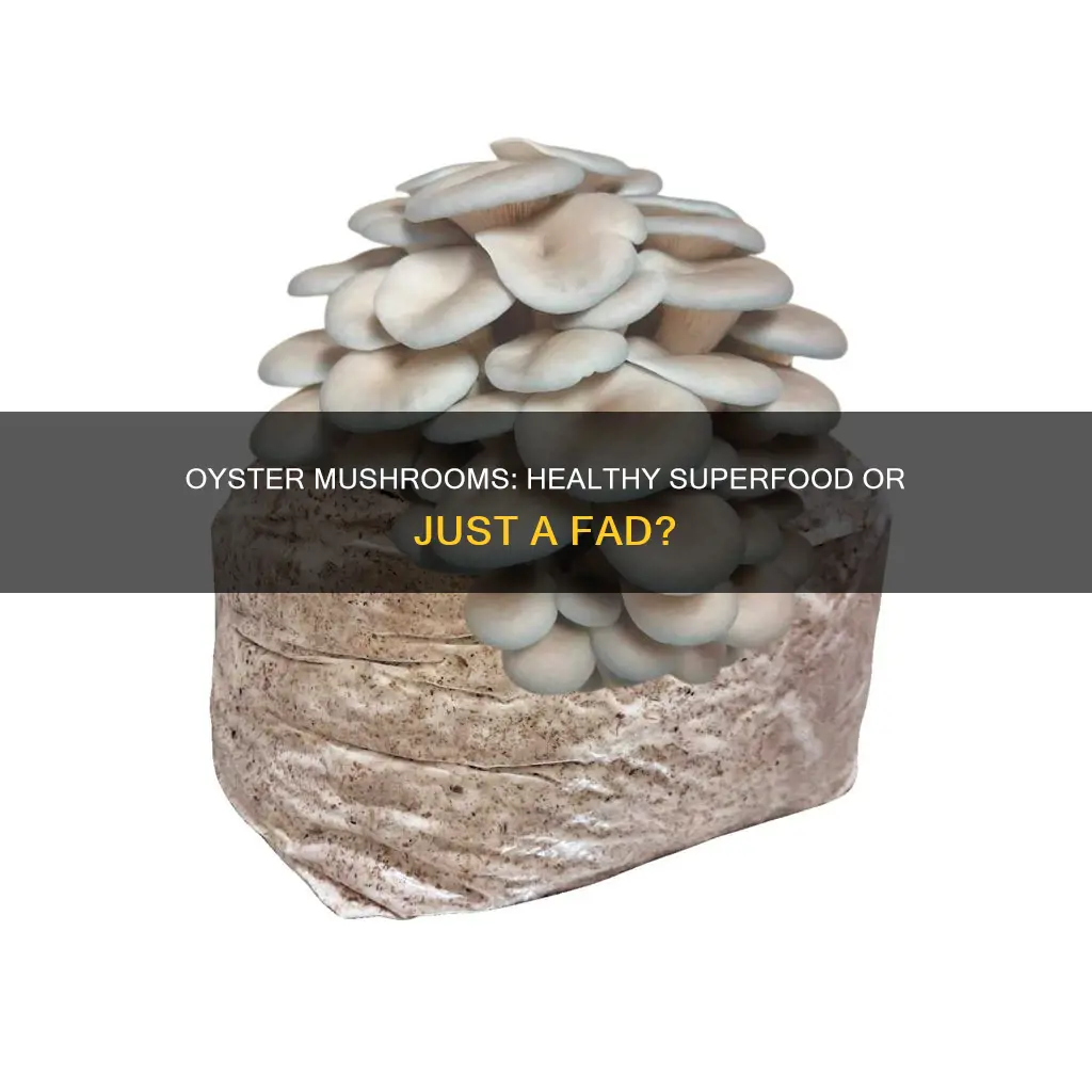 are oyster mushrooms healthy