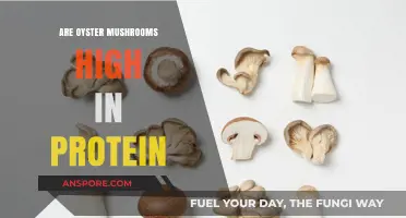 Oyster Mushrooms: High-Protein Superfood?