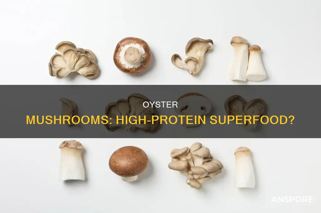 are oyster mushrooms high in protein