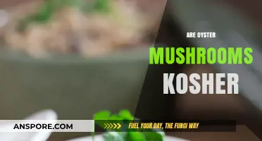 Oyster Mushrooms: Kosher or Not?