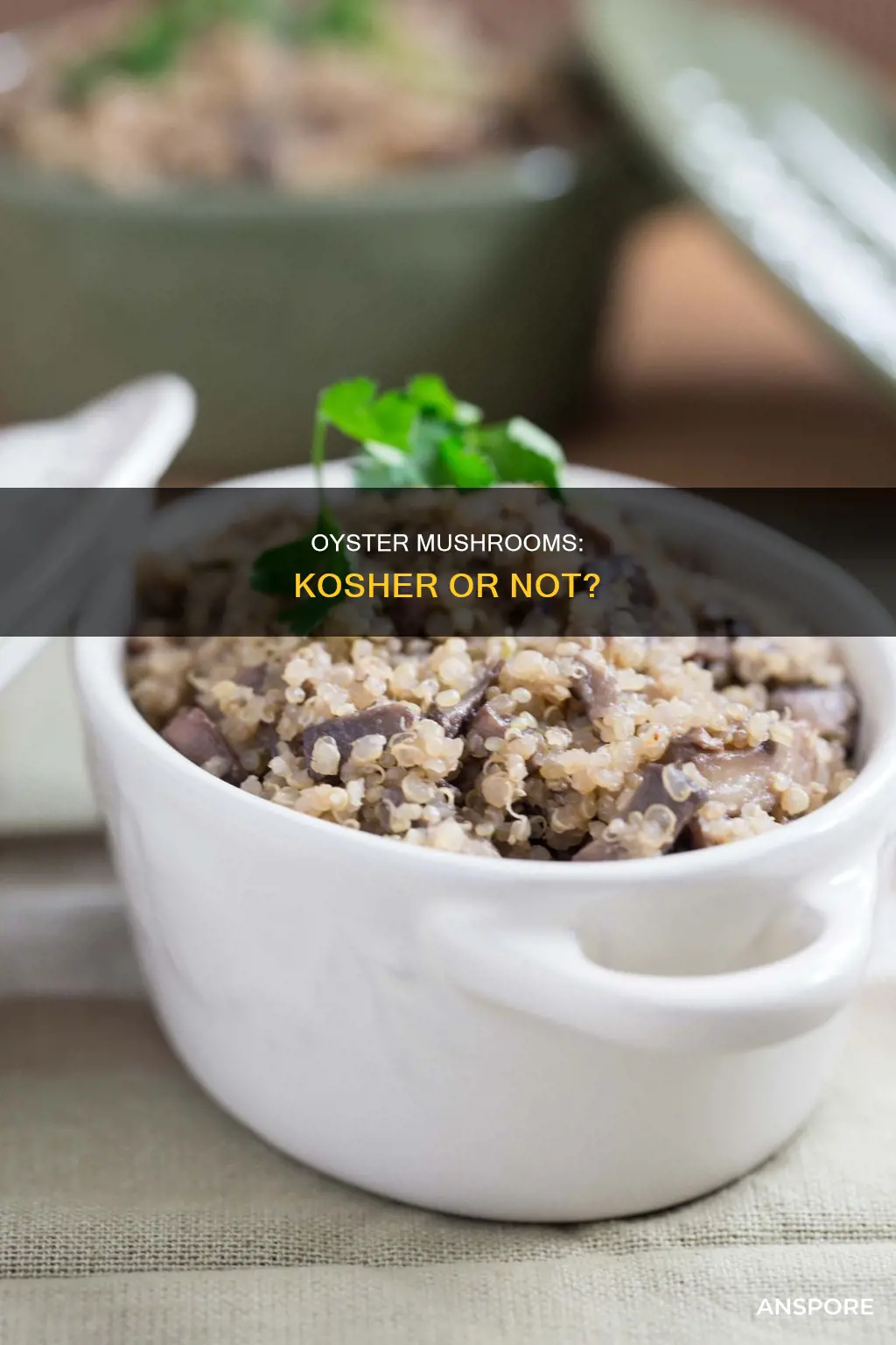 are oyster mushrooms kosher