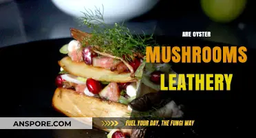 Oyster Mushrooms: Leathery or Not?