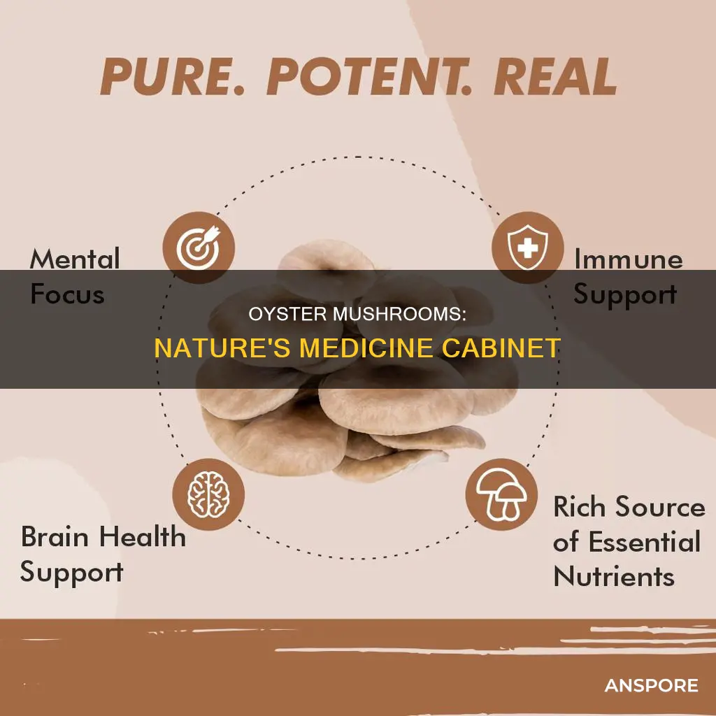 are oyster mushrooms medicinal