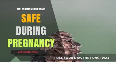 Oyster Mushrooms: Safe Superfood for Pregnant Women?