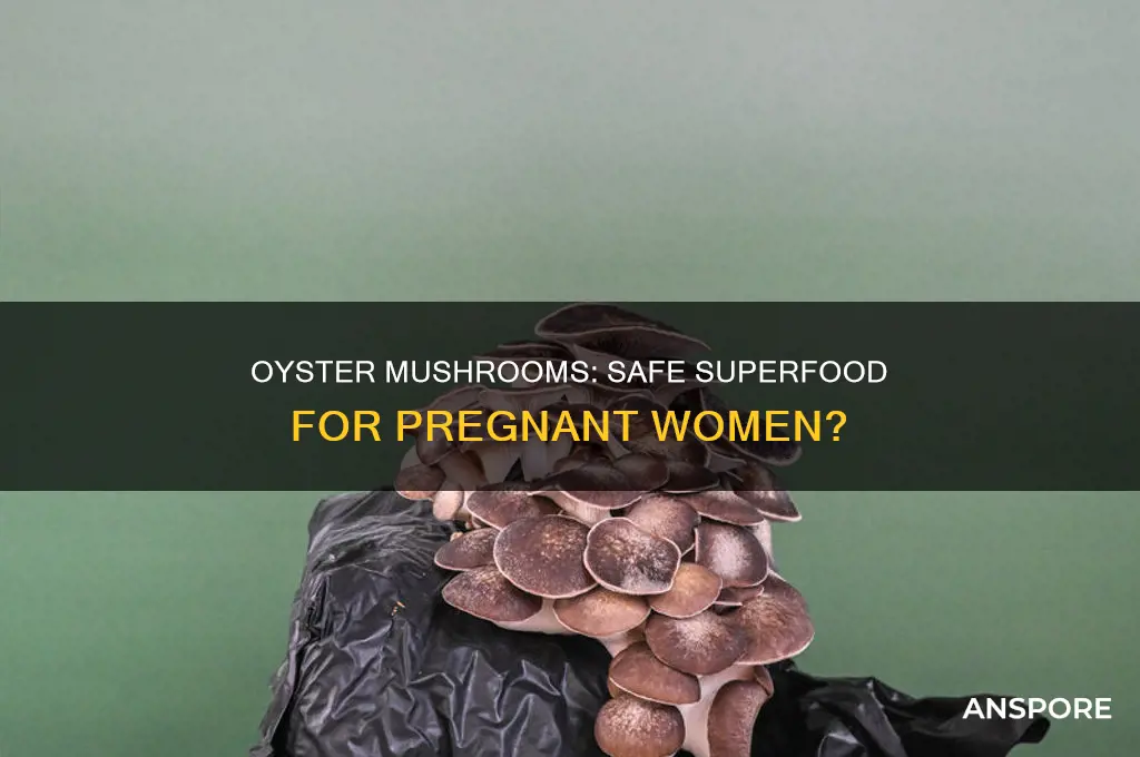 are oyster mushrooms safe during pregnancy