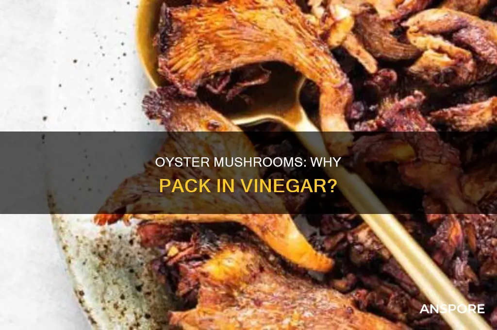 are oyster mushrooms usually packed in a vinegar mix