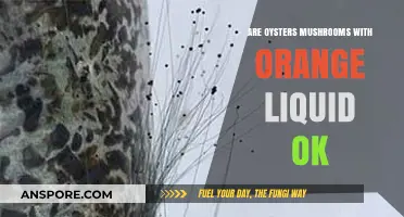 Are Orange Liquid Oozing Oysters Safe to Eat?