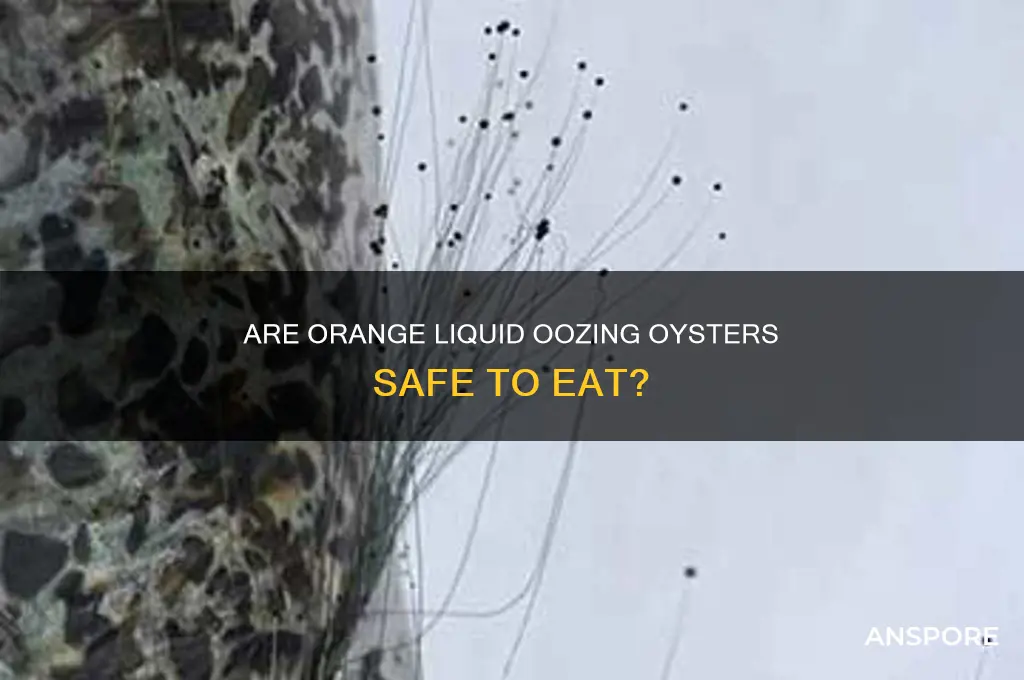 are oysters mushrooms with orange liquid ok