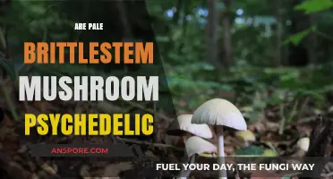 Exploring the Psychedelic Nature of Pale Brittlestem Mushrooms