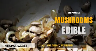 Are Pancake Mushrooms Edible? A Guide to Safe Foraging