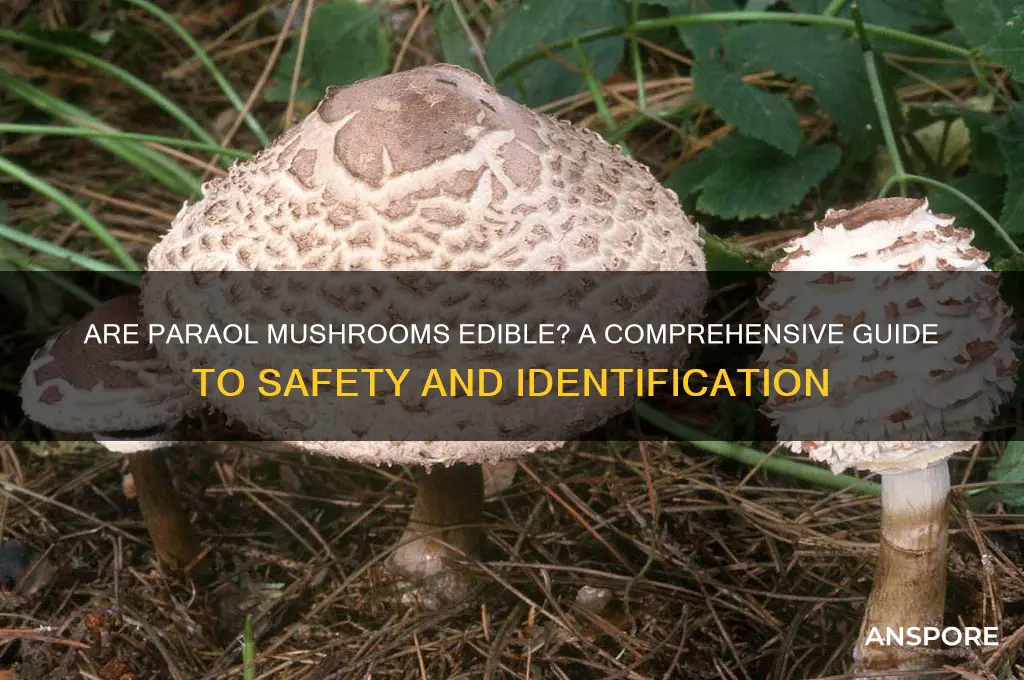 are paraol mushrooms edible