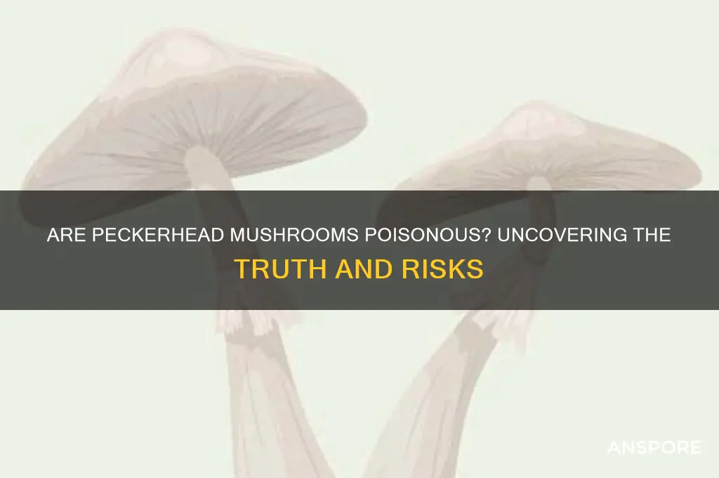 are peckerhead mushrooms poisonous