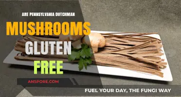 Gluten-Free Pennsylvania Dutchman Mushrooms: Are They Safe?