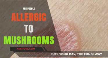 Mushroom Allergies: What You Need to Know