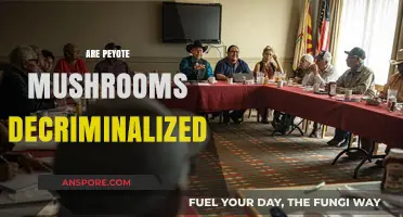 Magic Mushrooms: Decriminalization and the Law