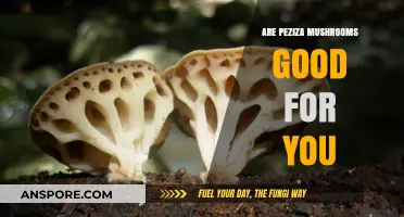 Peziza Mushrooms: Health Benefits, Risks, and Nutritional Value Explained