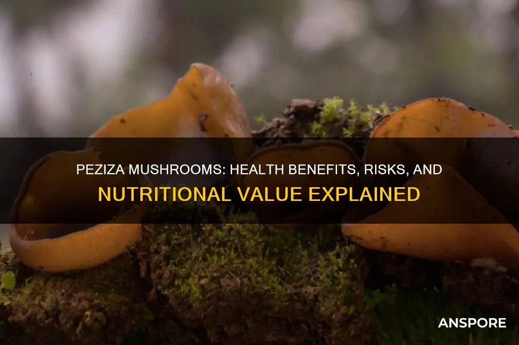are peziza mushrooms good for you