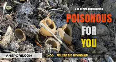 Are Peziza Mushrooms Poisonous? A Comprehensive Guide to Safety