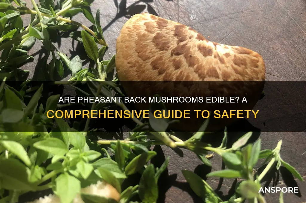 are pheasant back mushrooms edible