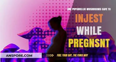 Pregnant and Curious About Psychedelic Mushrooms?