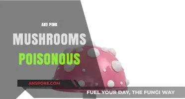 Are Pink Mushrooms Poisonous? Unveiling the Truth About Their Safety