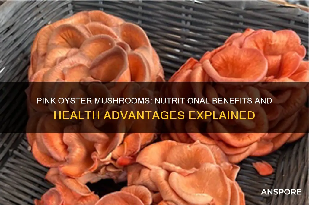 are pink oyster mushrooms good for you