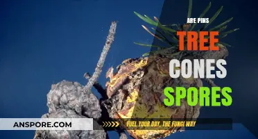 Are Pine Cones Spores? Unraveling Nature's Seed Dispersal Mysteries