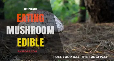 Can We Eat Plastic-Eating Mushrooms? Exploring Their Edibility and Safety