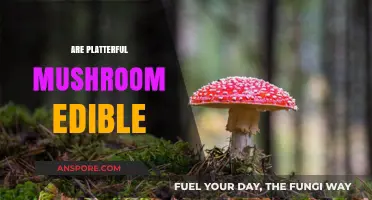 Are Platterful Mushrooms Edible? A Guide to Safe Consumption