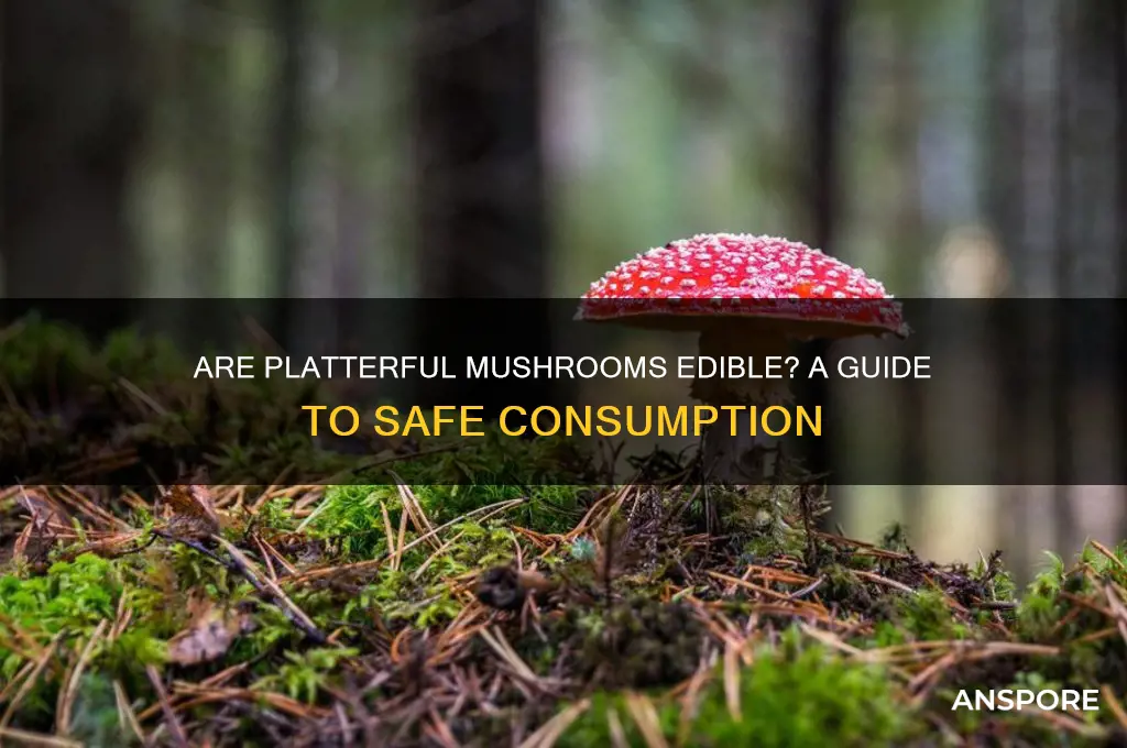 are platterful mushroom edible