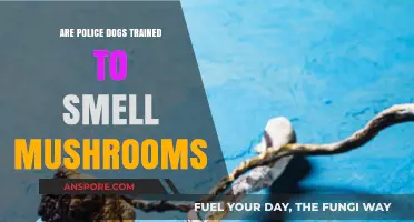 Training Police Dogs to Sniff Out Mushrooms