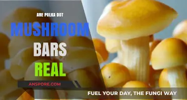Polka Dot Mushroom Bars: Fact or Fiction?