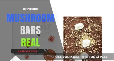 Polkadot Mushrooms: Are They Real or Fake?