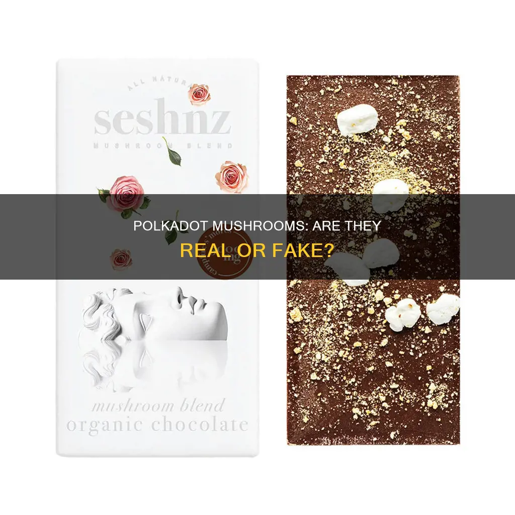 are polkadot mushroom bars real