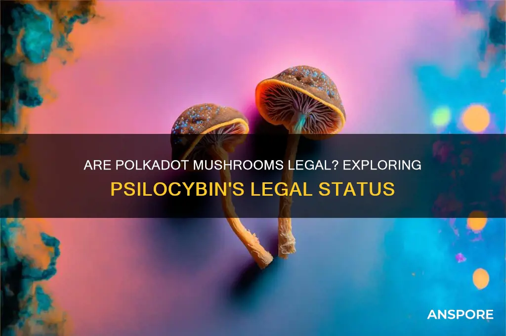 are polkadot mushrooms legal