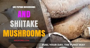 Shiitake and Popinki: A Mushroom Comparison