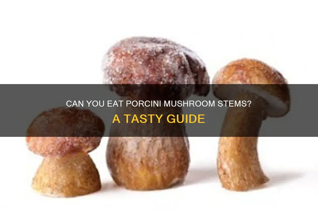 are porcini mushroom stems edible