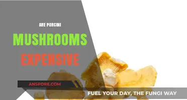 The High Cost of Porcini Mushrooms Explained