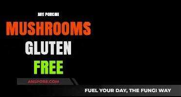 Porcini Mushrooms: Gluten-Free Superfood?