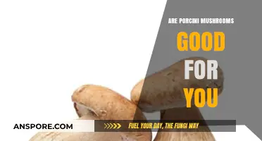 Porcini Mushrooms: Unlocking Nutritional Benefits and Health Advantages