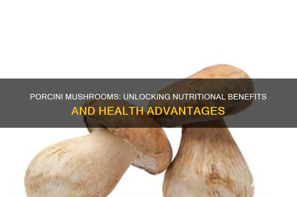 are porcini mushrooms good for you