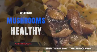 Porcini Mushrooms: Healthy Superfood or Overhyped?