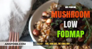 Porcini Mushrooms: A Low-FODMAP Diet Superfood?