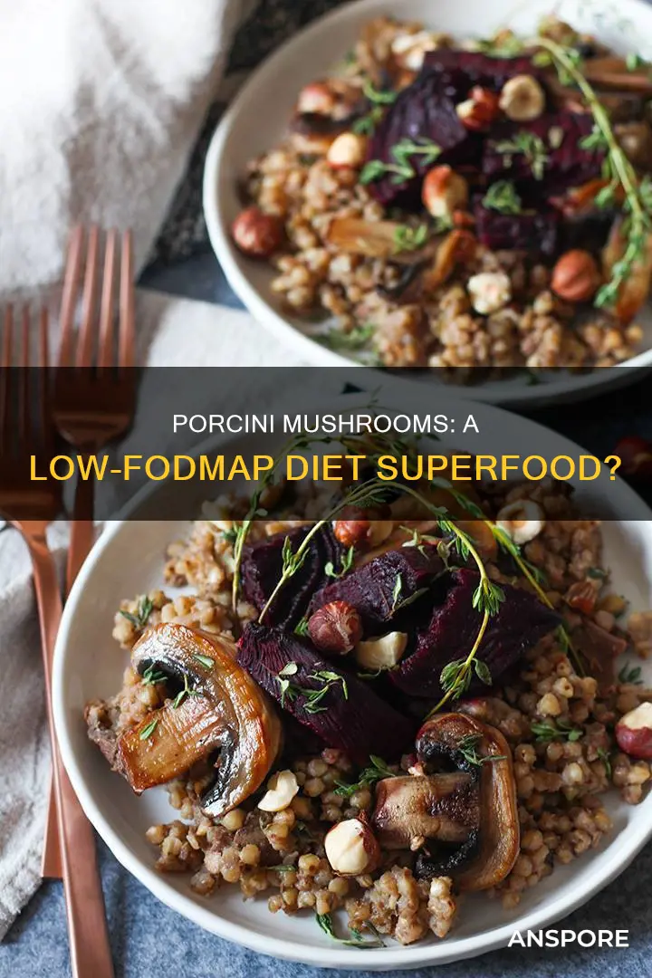 are porcini mushrooms low fodmap
