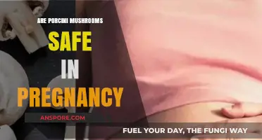 Porcini Mushrooms: Safe Superfood for Pregnancy?