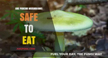 Are Porcini Mushrooms Safe? A Guide to Eating Wild Fungi