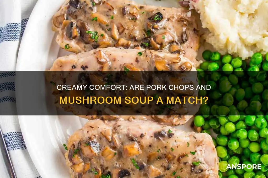 are pork chops good with cream of mushroom soup