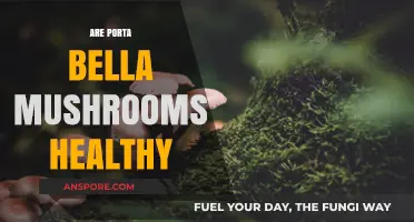 Portabella Mushrooms: Healthy Superfood or Fad?