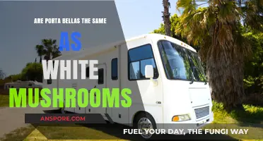 Portabella vs. White Mushrooms: What's the Difference?